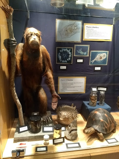 Brant Museum of Zoology - Thumbnail