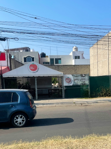 Tortas - Visual