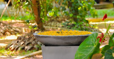 Photos of Kuma Ayurveda Treatment Center