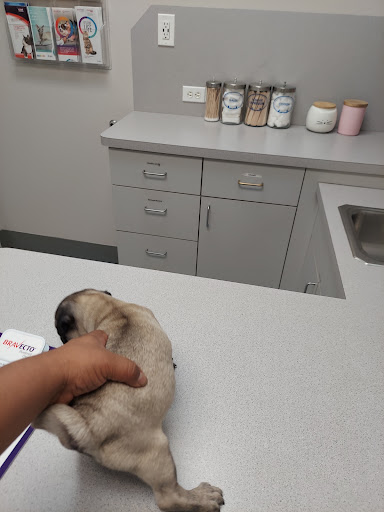 Wellborn Road Veterinary Medical Center - Thumbnail