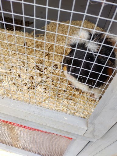 Pets at Home Grimsby - Thumbnail