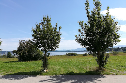 Gasthof Café Seeseiten - Thumbnail