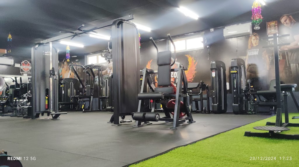 Harizon Fitness And Sports