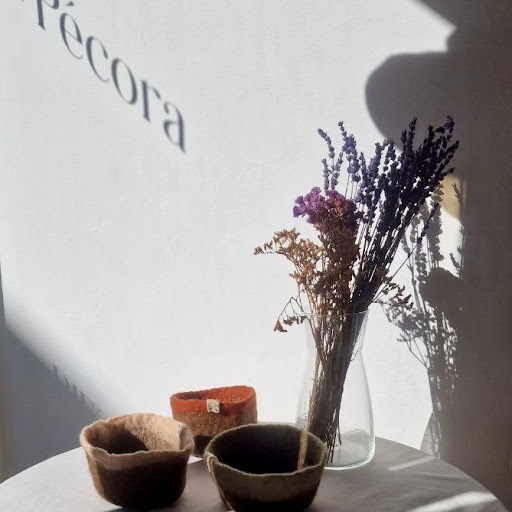 Pécora - Taller de diseño artesanal