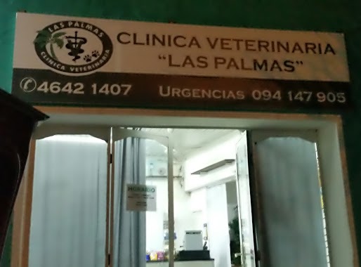 Veterinaria Las Palmas, Author: Alexander godiño martinez