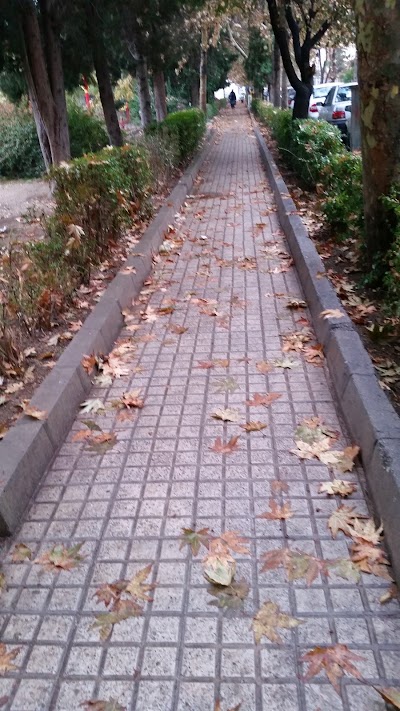 Photos of Amoozgar Park