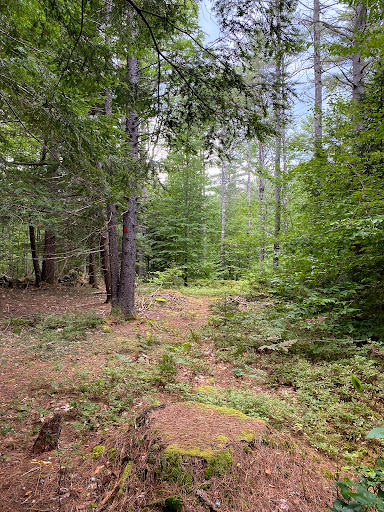 Miriam Hunt Memorial Forest