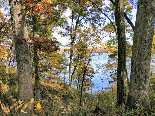Route 66 Hike & Bike Trail at Lake Lou Yaeger - Thumbnail