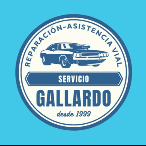 Servicio Gallardo - Visual