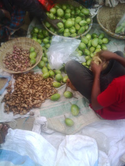 Photos of Dhaptatulia Bazar