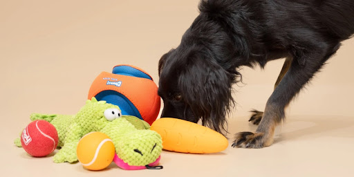 PetParcel Pals - Visual