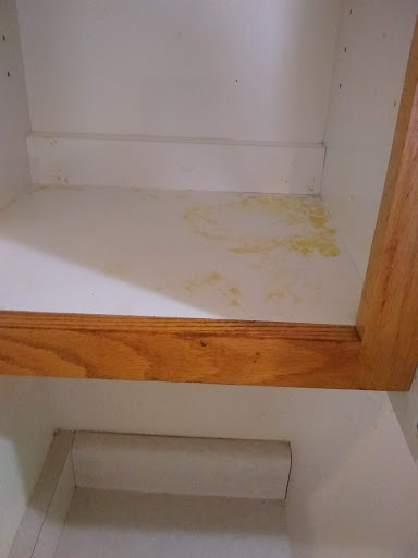 Cleaning Services - Visual
