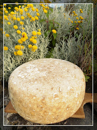 Photo n°24 de La ferme de la Borde Munné à Sévignacq-Meyracq (Élevage laitier)