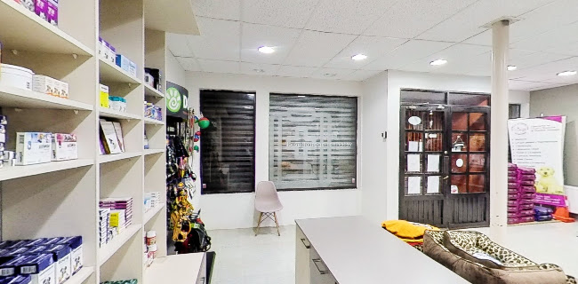 Clínica Veterinaria Petrohue - Veterinario