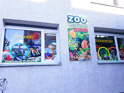 Iguana Sklep Zoologiczno-Wędkarski