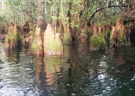 Floyds Island Cabin - Thumbnail
