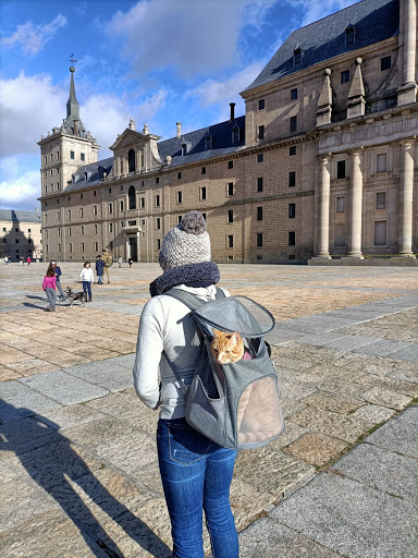 Adventurix Pets - Visual