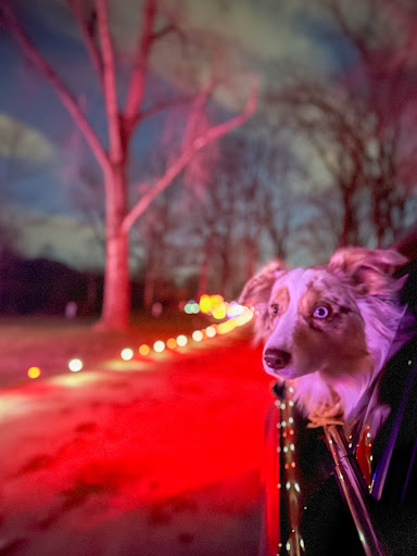 Lansing Holiday Light Show - Thumbnail