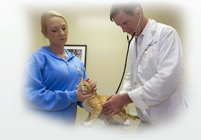 VCA Vaughn Road Animal Hospital