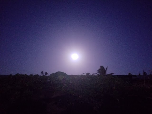 Punalu'u Black Sand Beach camping