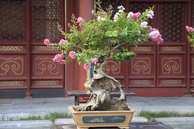 Jingshan Park
