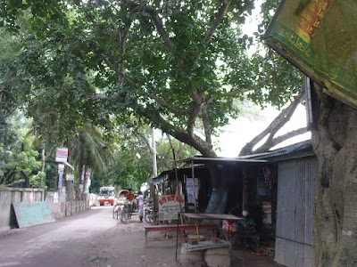 Photos of Upazila Bot Tola