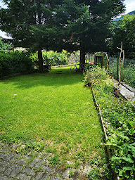 Photo n°5 de Partir en Cacahuète à Le Bonhomme (Lodge)