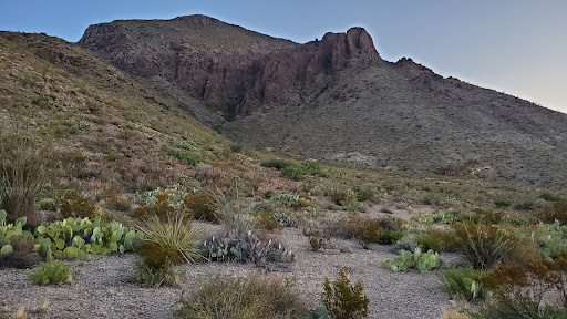 Pine Canyon 1 - Visual