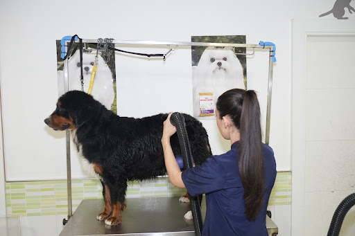 Clínica Veterinaria Triunfo Jardín