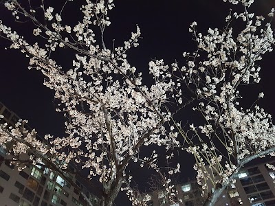 Photos of 학마을어린이공원