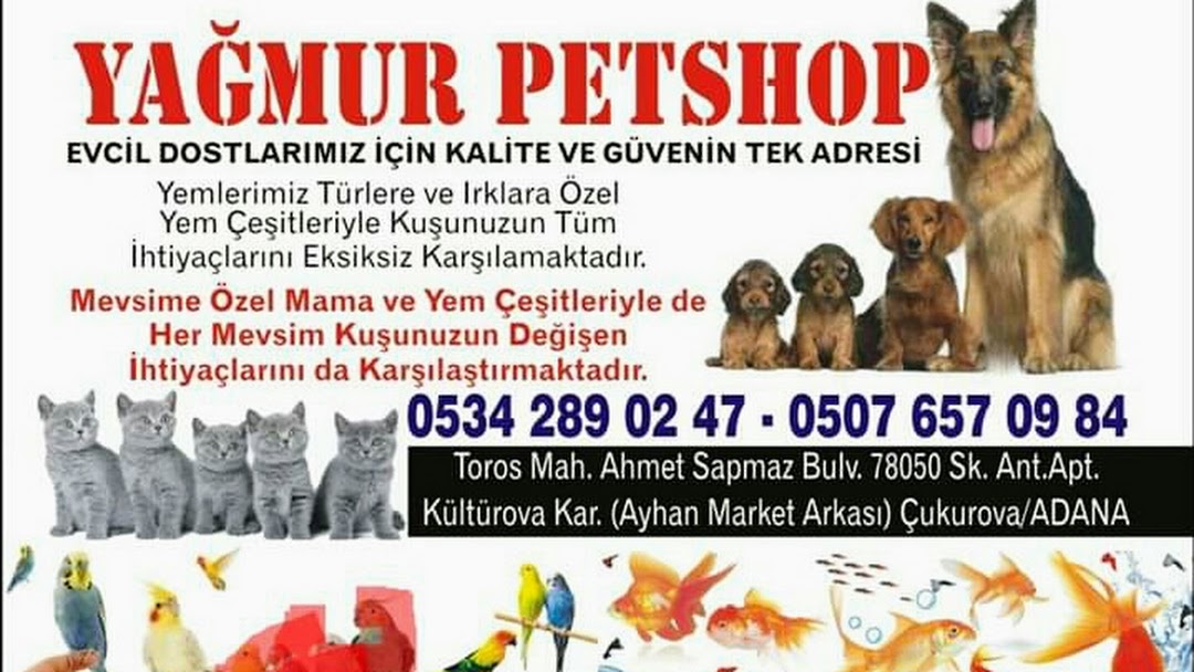 Yagmur Petshop Evcil Hayvan Malzemeleri Magazasi