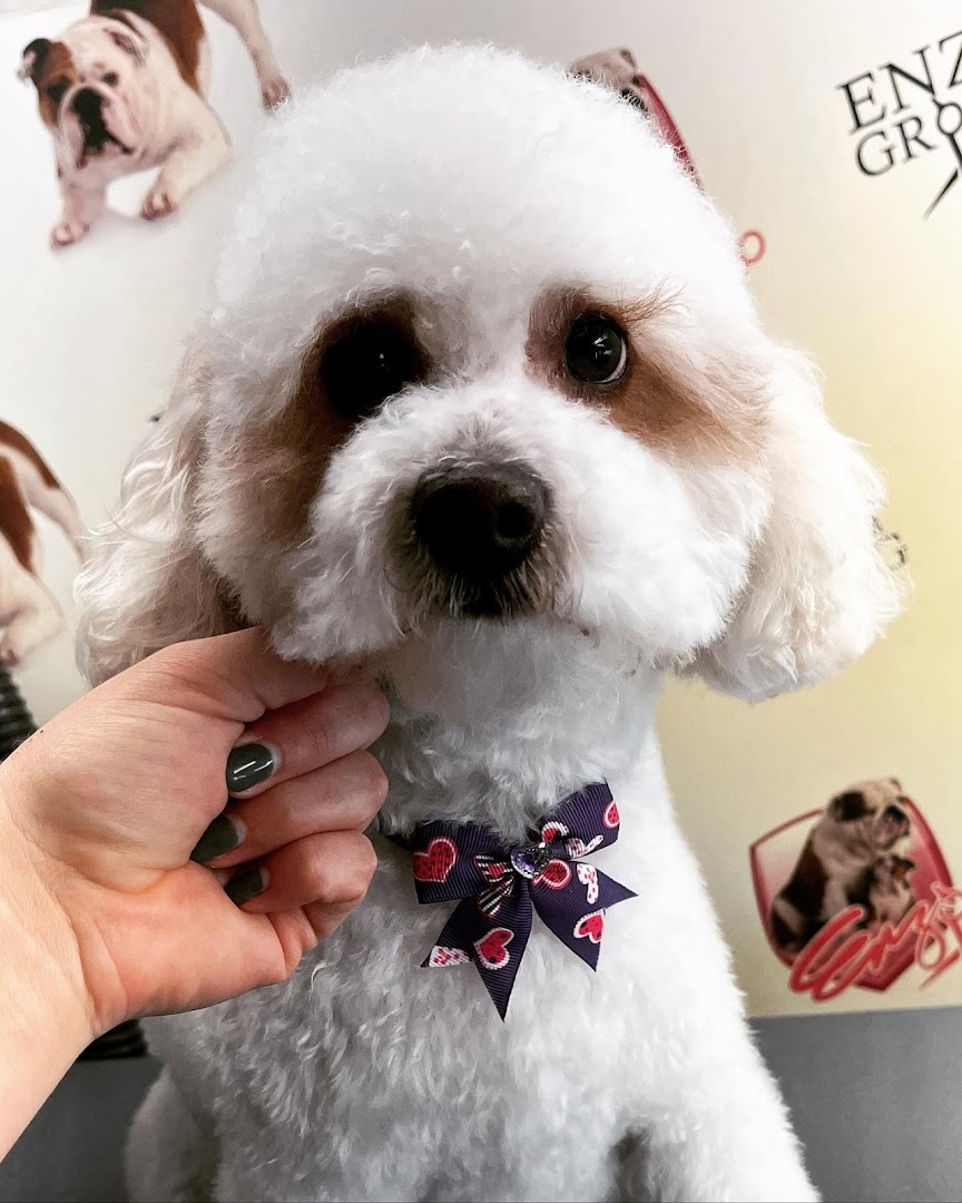Enzo Pet Grooming