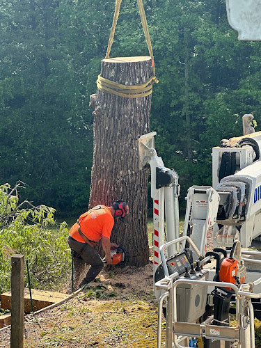 Mountain Area Tree & Landscape Inc.