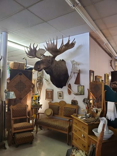 House with the Lions Antiques