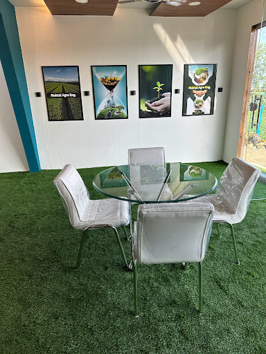 Gallery image 12