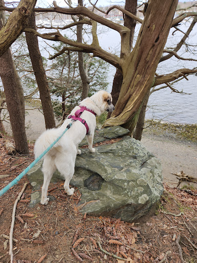 Goddard Park Beach Trail Head