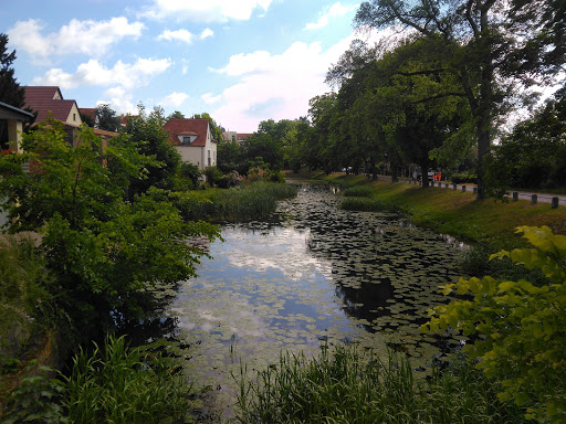 Rosengarten am Moorbad - Thumbnail