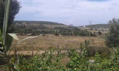 Photos of For&ecirc;t Diplomatique