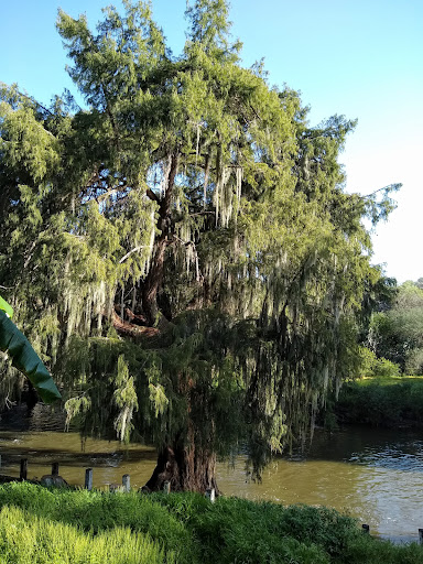 Río Progreso - Visual
