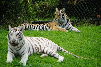 Panaewa Rainforest Zoo