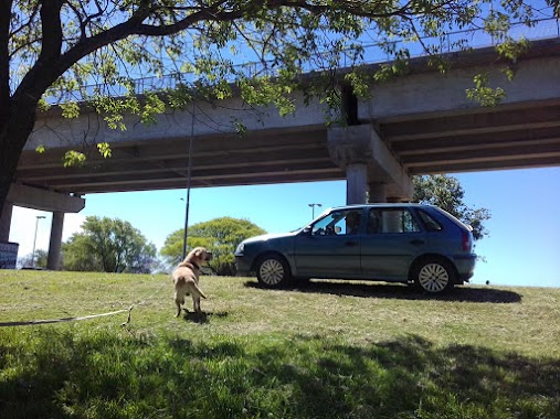 Luis Alesio e Hijo Automotores, Author: Vanina Rm