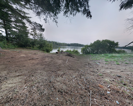 NYS Forest Campground - Thumbnail