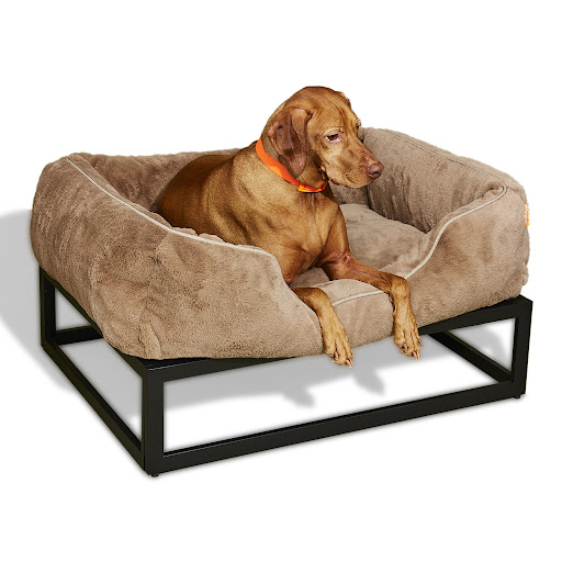 FÜZI PETS - Visual