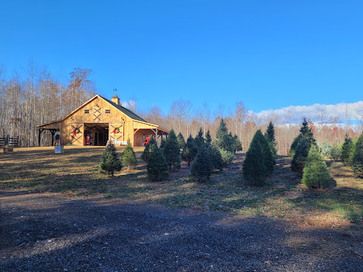 Tara Noel Christmas Tree Farm - Thumbnail