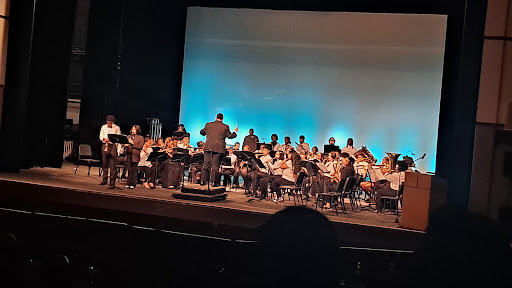 Cobb County Center for Excellence in the Performing Arts