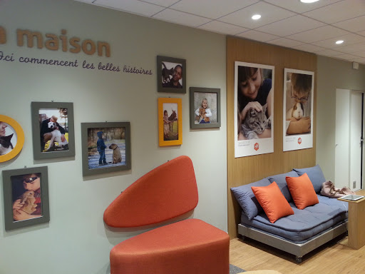 Photo de Maison de retraite de la Fondation Assistance aux Animaux à Ajaccio à Grosseto (20128)