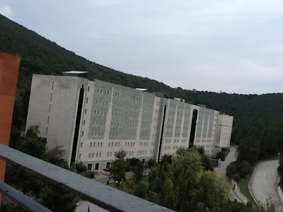 Yeditepe University