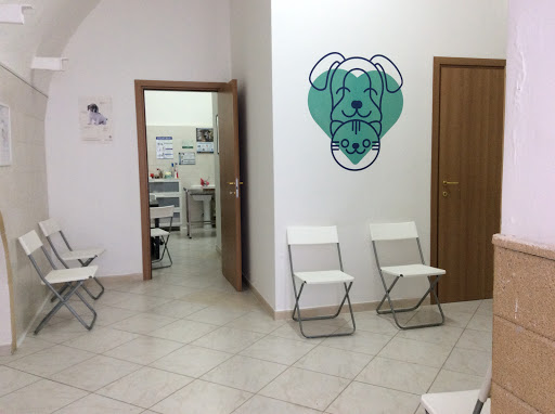 Ambulatorio Veterinario Cellamare - Thumbnail