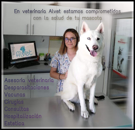 Hospital veterinario Alvet