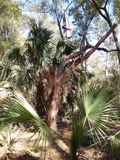 Victoria Bluff Heritage Preserve/Wildlife Management Area